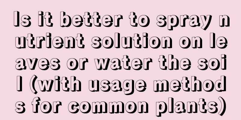 Is it better to spray nutrient solution on leaves or water the soil (with usage methods for common plants)