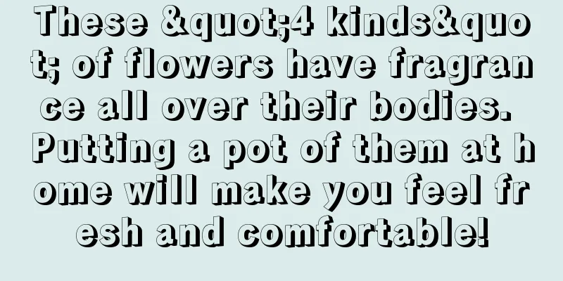 These "4 kinds" of flowers have fragrance all over their bodies. Putting a pot of them at home will make you feel fresh and comfortable!