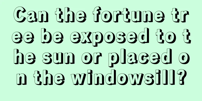 Can the fortune tree be exposed to the sun or placed on the windowsill?