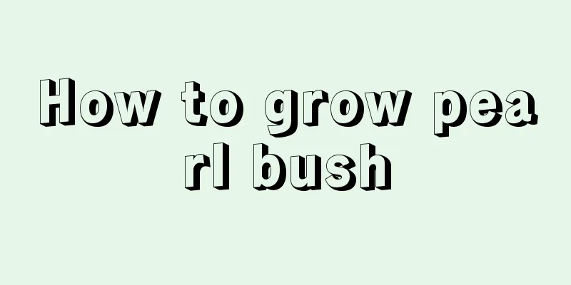 How to grow pearl bush