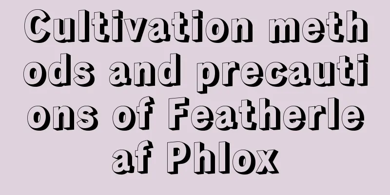 Cultivation methods and precautions of Featherleaf Phlox