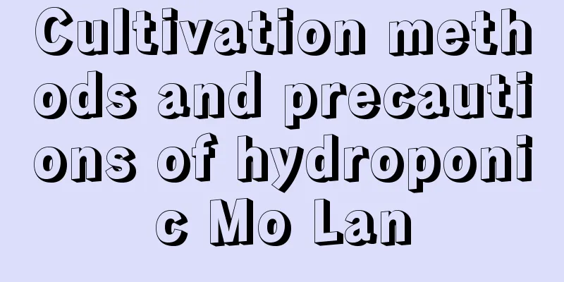 Cultivation methods and precautions of hydroponic Mo Lan