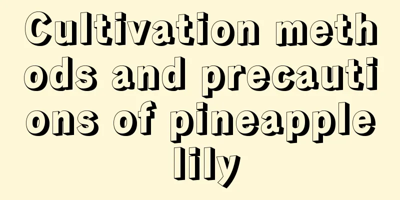 Cultivation methods and precautions of pineapple lily