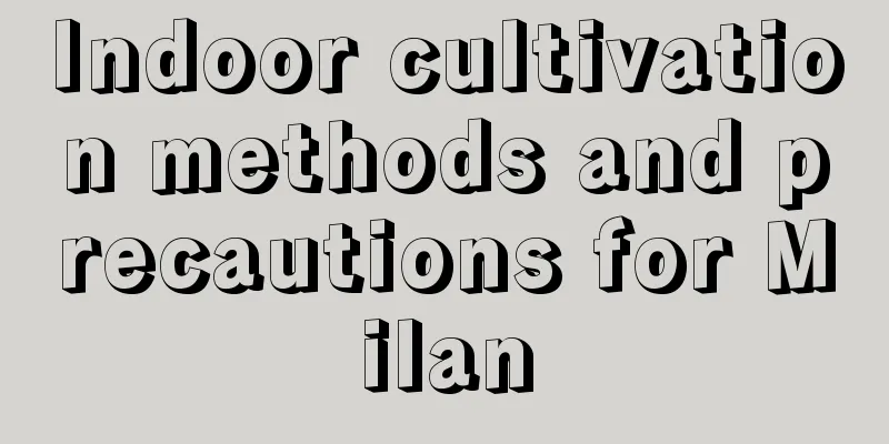 Indoor cultivation methods and precautions for Milan