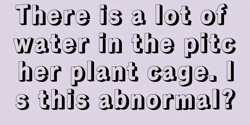 There is a lot of water in the pitcher plant cage. Is this abnormal?