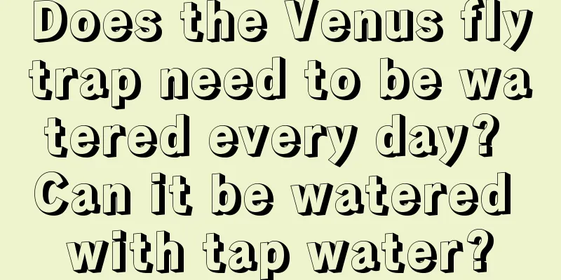 Does the Venus flytrap need to be watered every day? Can it be watered with tap water?