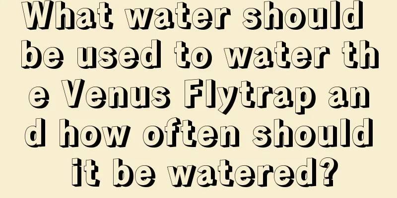 What water should be used to water the Venus Flytrap and how often should it be watered?