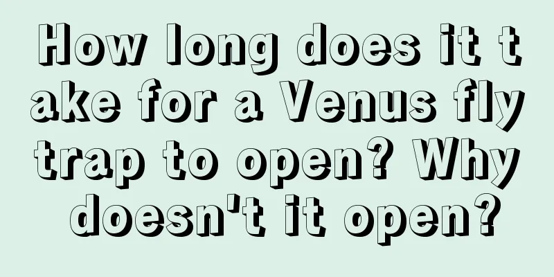 How long does it take for a Venus flytrap to open? Why doesn't it open?