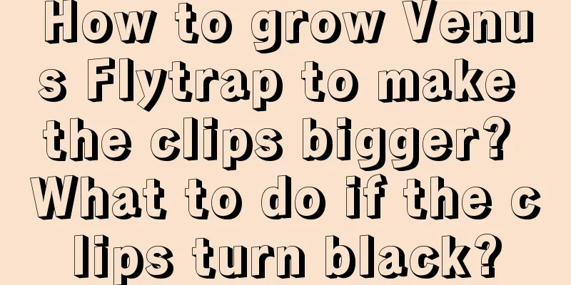 How to grow Venus Flytrap to make the clips bigger? What to do if the clips turn black?