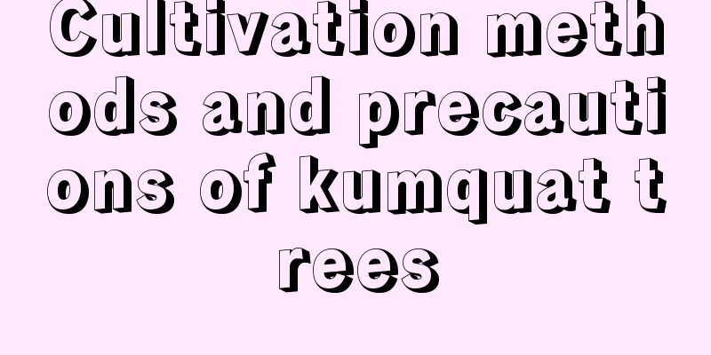 Cultivation methods and precautions of kumquat trees