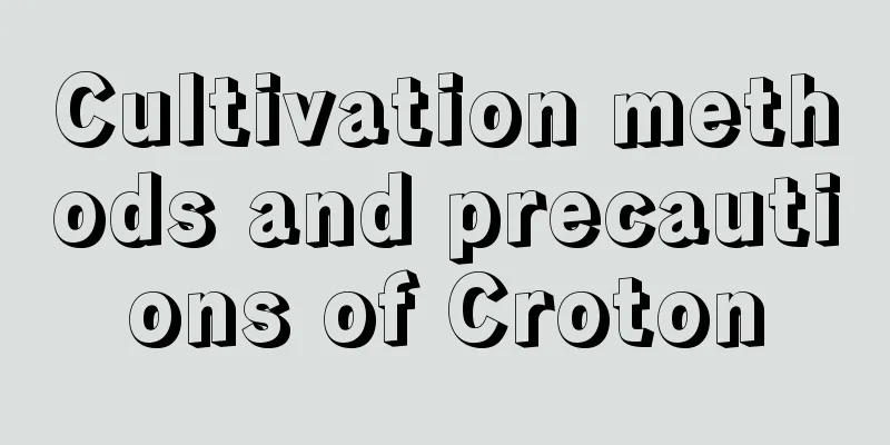 Cultivation methods and precautions of Croton