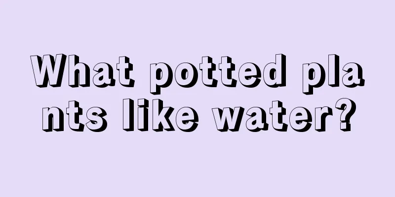 What potted plants like water?