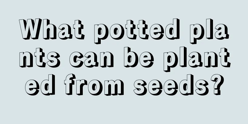 What potted plants can be planted from seeds?