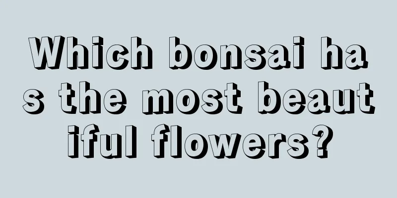 Which bonsai has the most beautiful flowers?