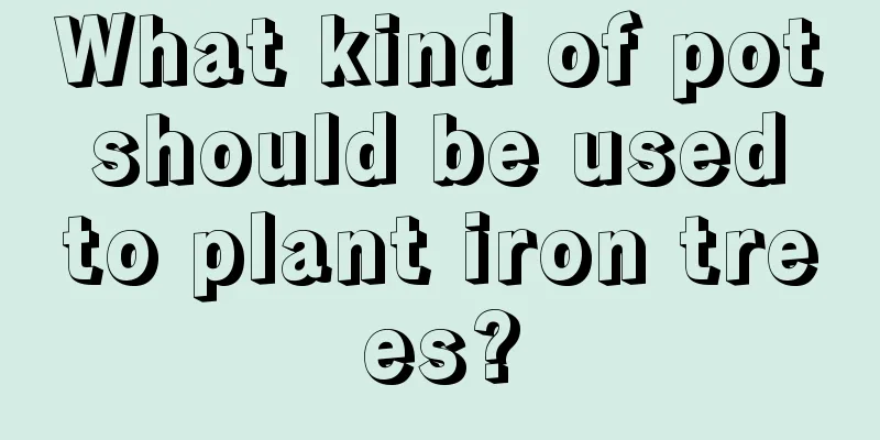 What kind of pot should be used to plant iron trees?