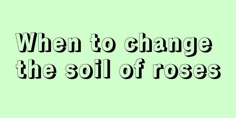 When to change the soil of roses