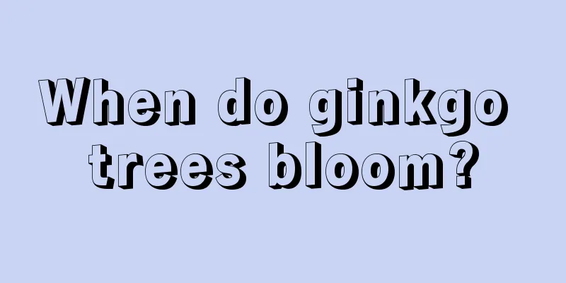 When do ginkgo trees bloom?