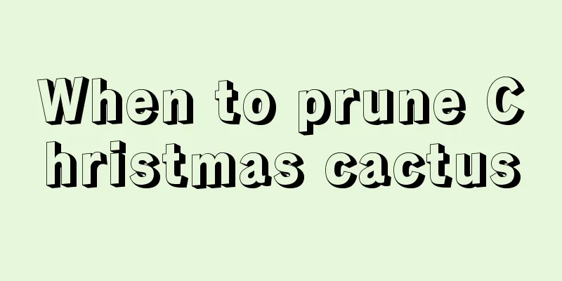 When to prune Christmas cactus