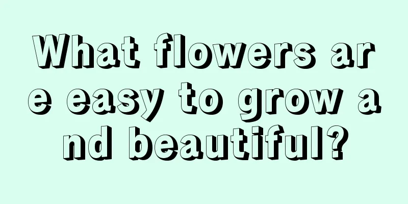 What flowers are easy to grow and beautiful?