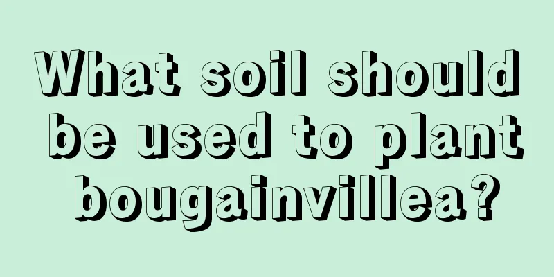 What soil should be used to plant bougainvillea?