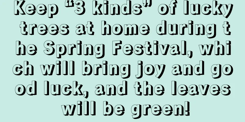 Keep “3 kinds” of lucky trees at home during the Spring Festival, which will bring joy and good luck, and the leaves will be green!