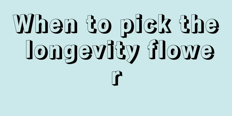 When to pick the longevity flower