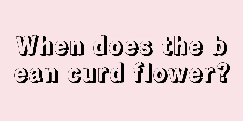 When does the bean curd flower?