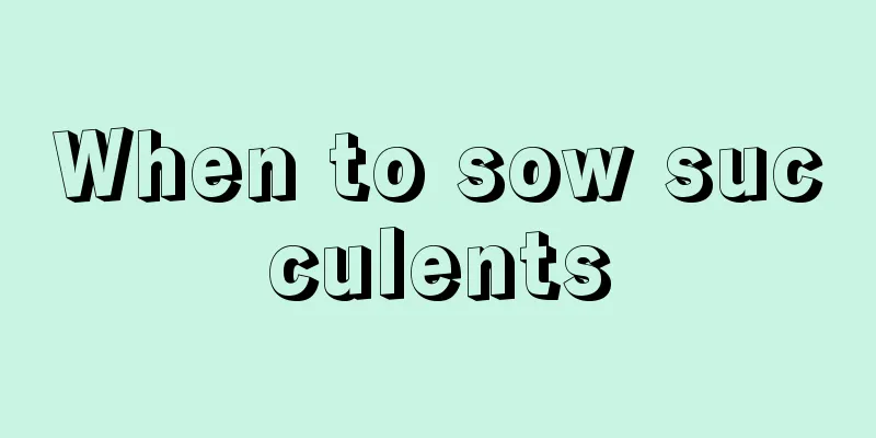 When to sow succulents