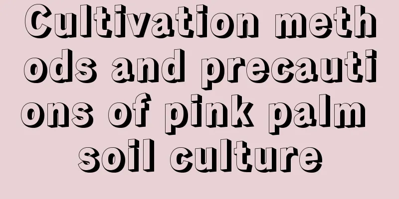 Cultivation methods and precautions of pink palm soil culture