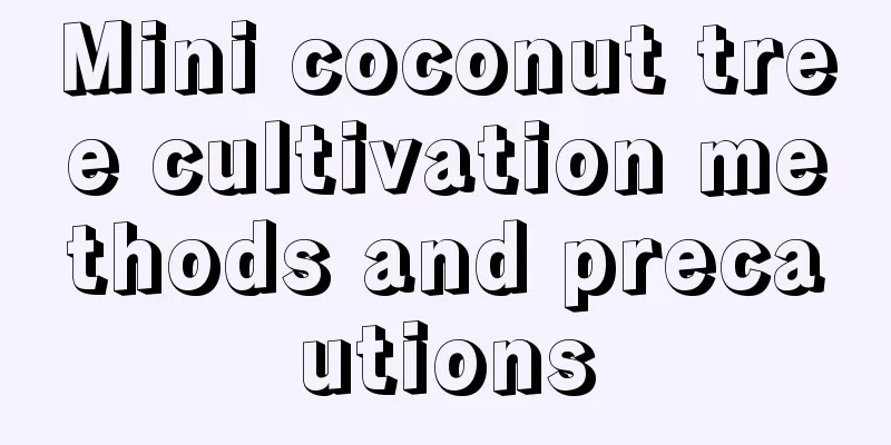 Mini coconut tree cultivation methods and precautions