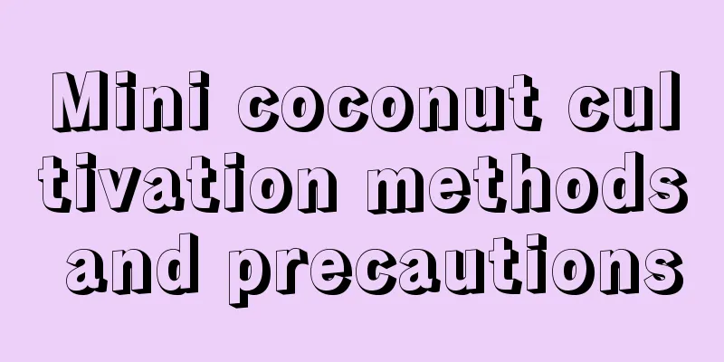 Mini coconut cultivation methods and precautions