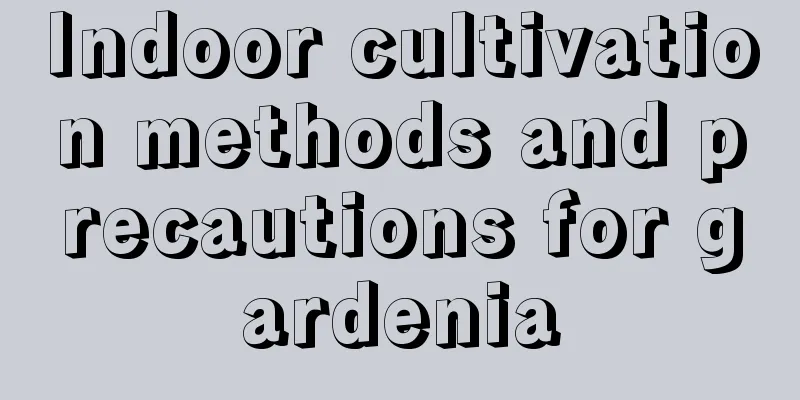 Indoor cultivation methods and precautions for gardenia