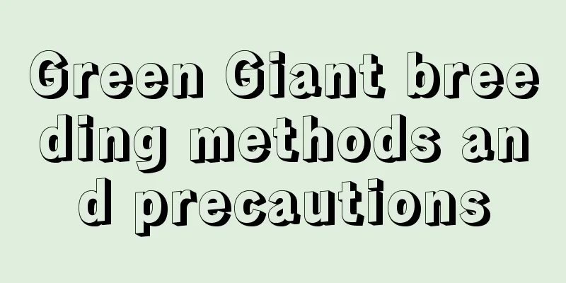 Green Giant breeding methods and precautions