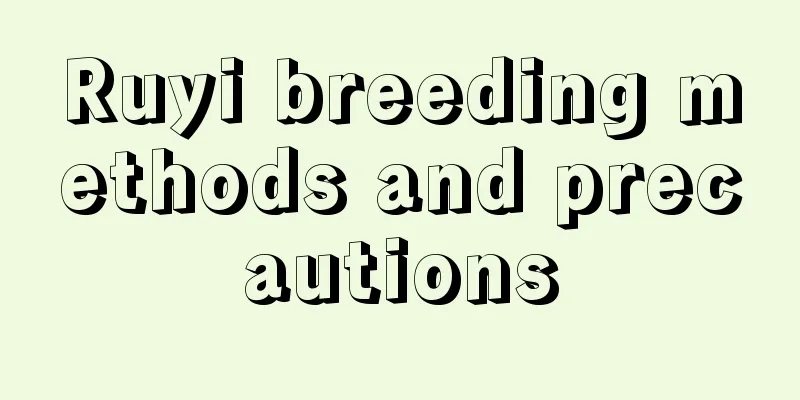 Ruyi breeding methods and precautions