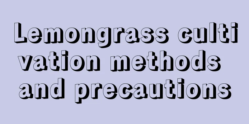 Lemongrass cultivation methods and precautions