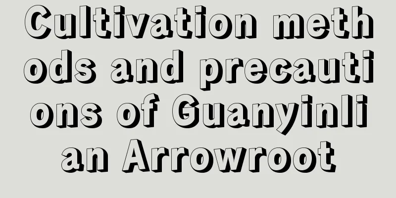 Cultivation methods and precautions of Guanyinlian Arrowroot