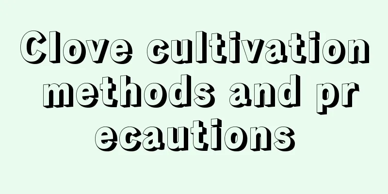 Clove cultivation methods and precautions