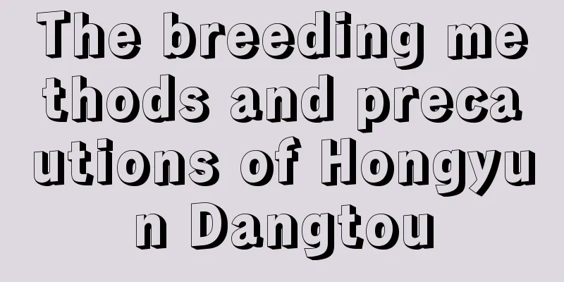 The breeding methods and precautions of Hongyun Dangtou