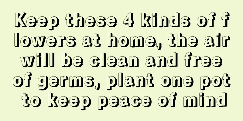 Keep these 4 kinds of flowers at home, the air will be clean and free of germs, plant one pot to keep peace of mind