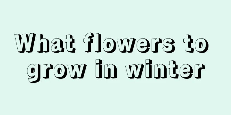 What flowers to grow in winter