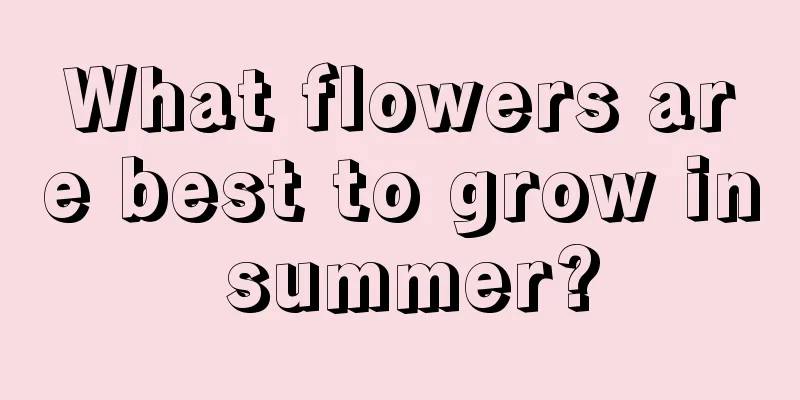 What flowers are best to grow in summer?