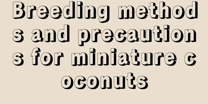 Breeding methods and precautions for miniature coconuts