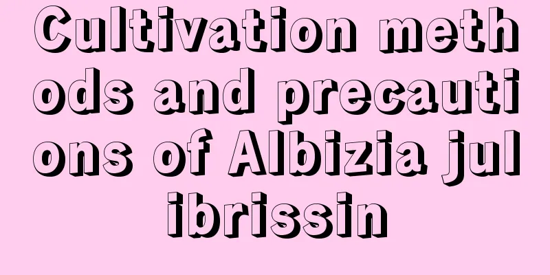 Cultivation methods and precautions of Albizia julibrissin