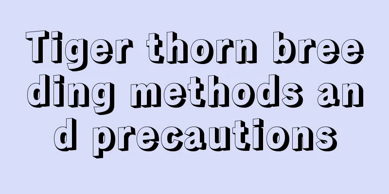 Tiger thorn breeding methods and precautions