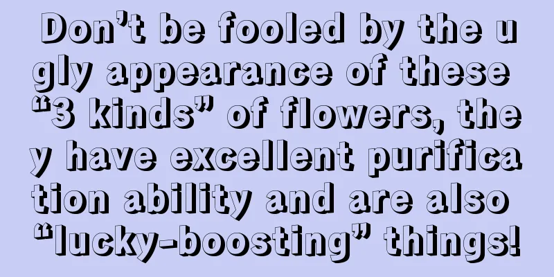 Don’t be fooled by the ugly appearance of these “3 kinds” of flowers, they have excellent purification ability and are also “lucky-boosting” things!