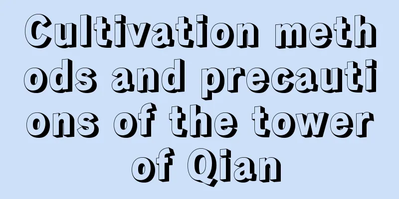 Cultivation methods and precautions of the tower of Qian