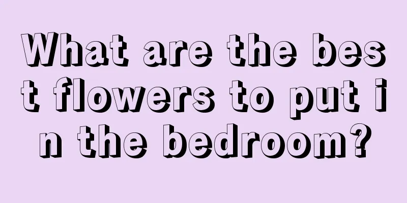 What are the best flowers to put in the bedroom?