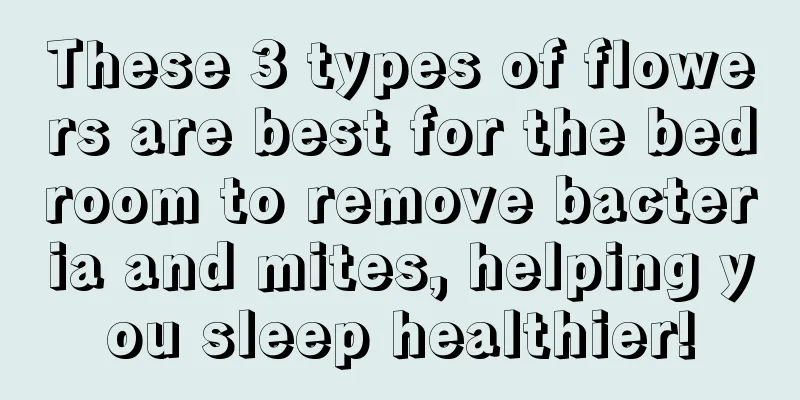 These 3 types of flowers are best for the bedroom to remove bacteria and mites, helping you sleep healthier!