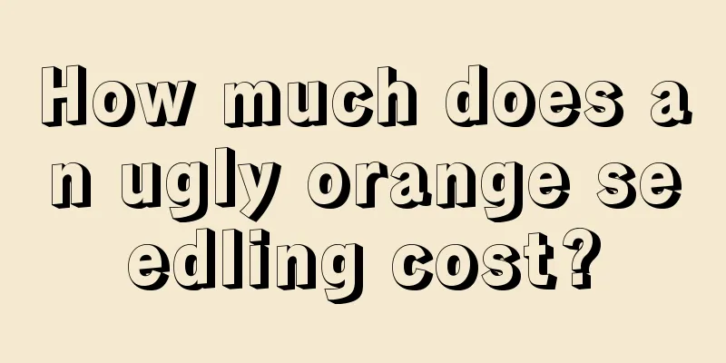 How much does an ugly orange seedling cost?