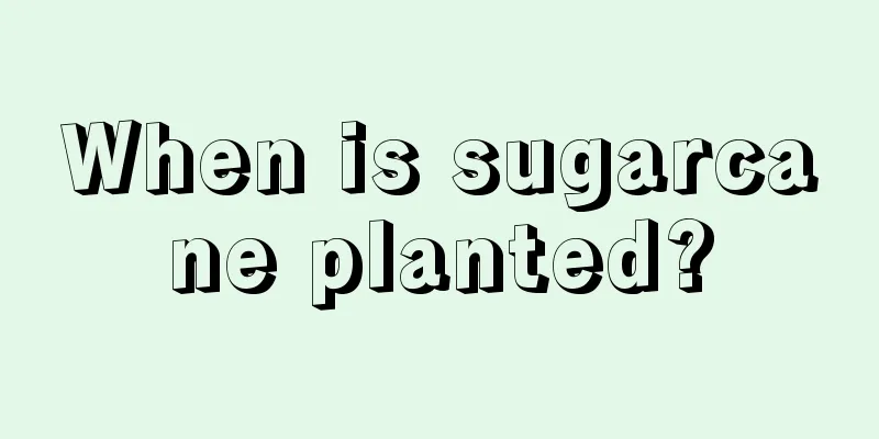 When is sugarcane planted?